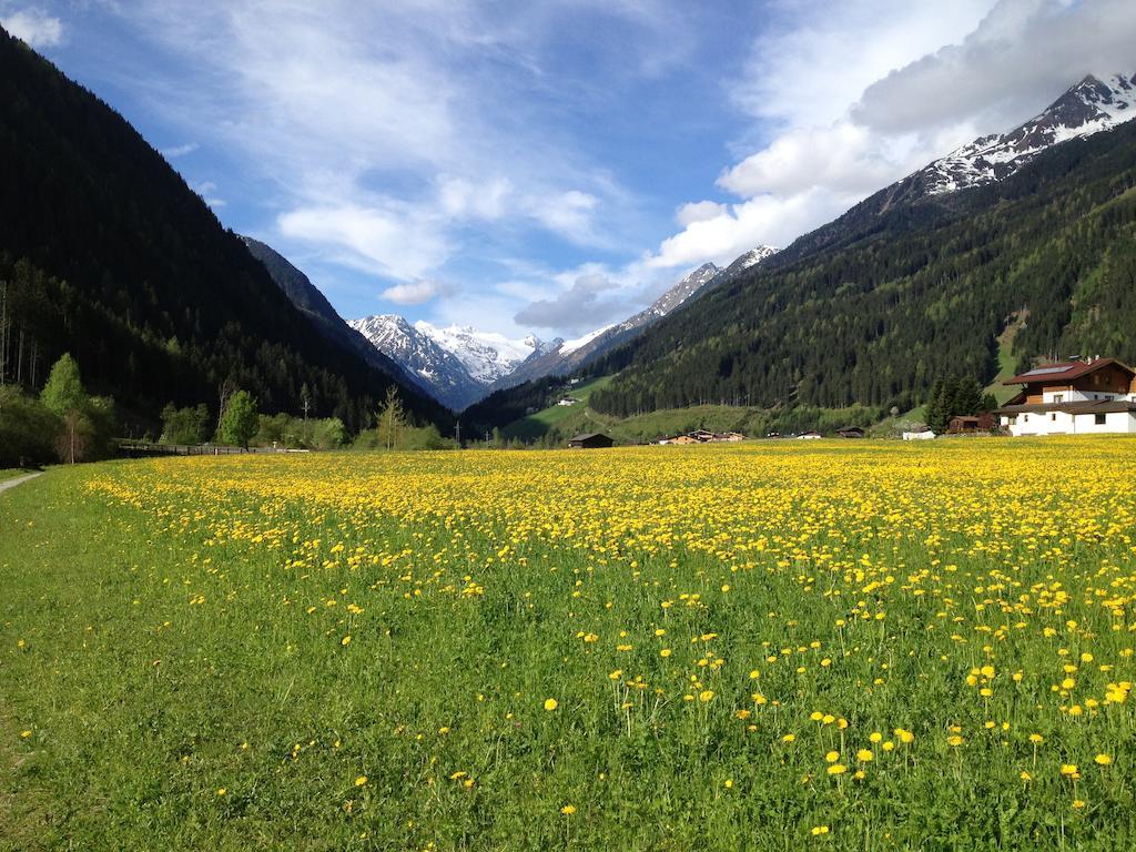 Pension Klampferer Neustift im Stubaital Camera foto